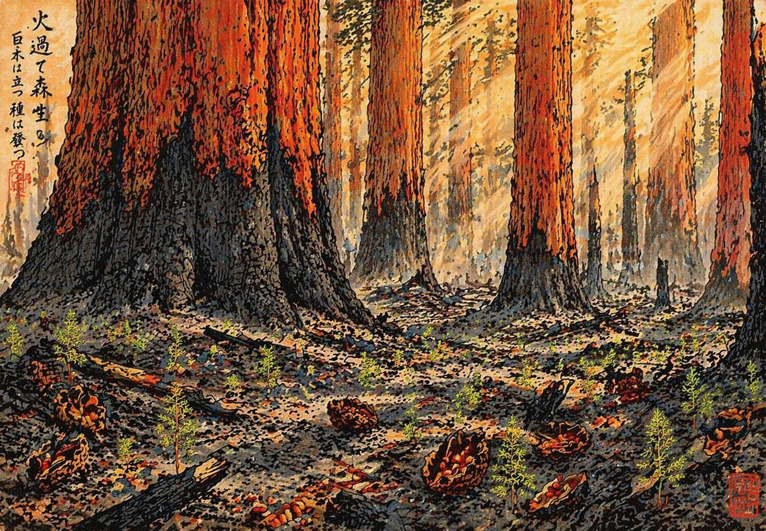 Sequoia grove after fire — charred trunks standing, seedlings emerging from ash, golden light through opened canopy